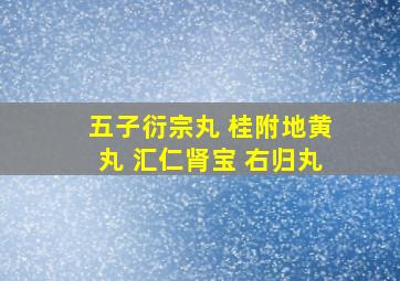 五子衍宗丸 桂附地黄丸 汇仁肾宝 右归丸